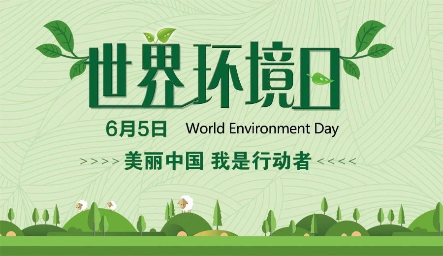世界环境日为每年的6月5日，它反映了世界各国人民对环境问题的认识和态度，表达了人类对美好环境的向往和追求。它是联合国促进全球环境意识、提高政府对环境问题的注意并采取行动的主要媒介之一。
